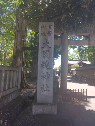 歴史を感じる参道、緑豊かな木漏れ日