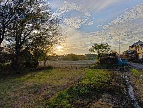 夕暮れの田園風景、人工と自然のコントラスト