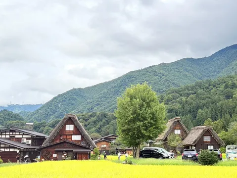茅葺き民家と夏の風景