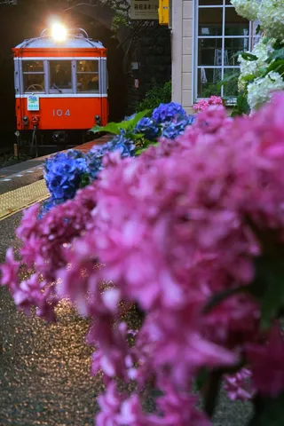 雨粒に揺れる、絵本のような駅