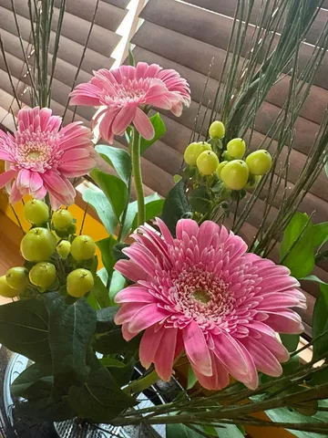 風景に花が息づく午後
