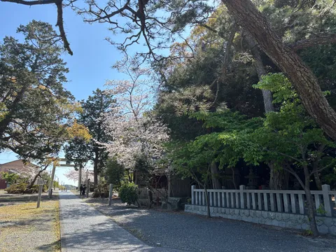 桜と新緑、静寂の境内