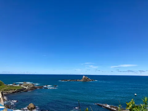 青い世界へダイブ！