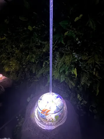 光に包まれた癒しの水辺