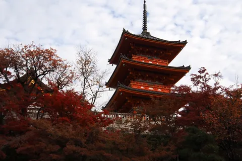 秋色の三重塔と紅葉