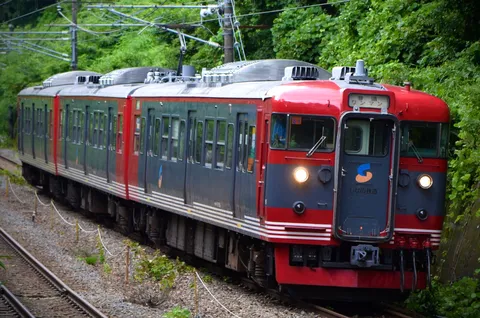 鮮やかな車体、森をゆく