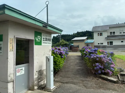 紫陽花に彩られた無人駅