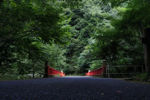 深緑に包まれる、朱色の橋