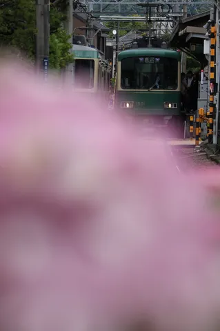 春霞を纏う、緑の電車