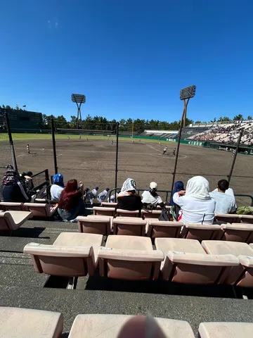 青空の下、野球観戦のひととき