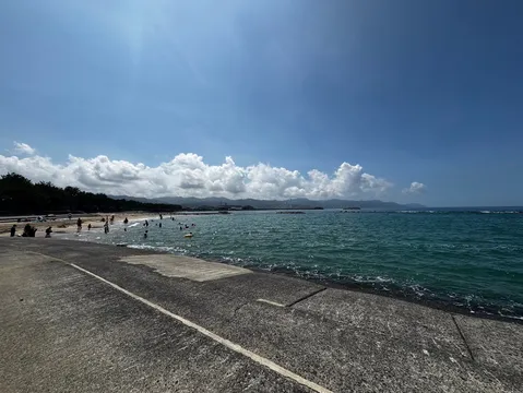夏の海辺、穏やかなひととき