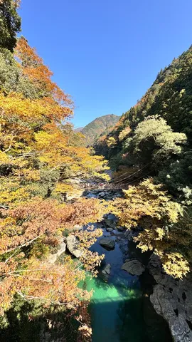 紅葉と清流、吊り橋の秋景色