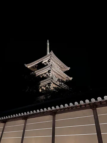 闇夜に浮かぶ五重塔の神秘