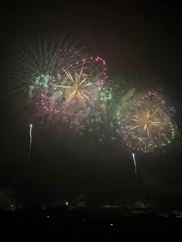 夜空を彩る華やかな光の競演