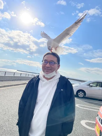 カモメと空と海辺の散歩