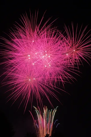 空に咲く情熱的なピンクの花火