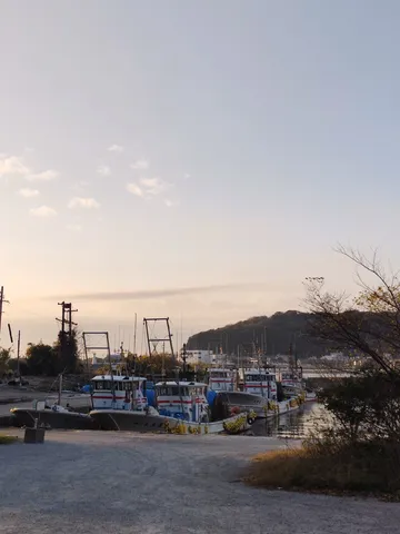 夕暮れの港、船の群れ