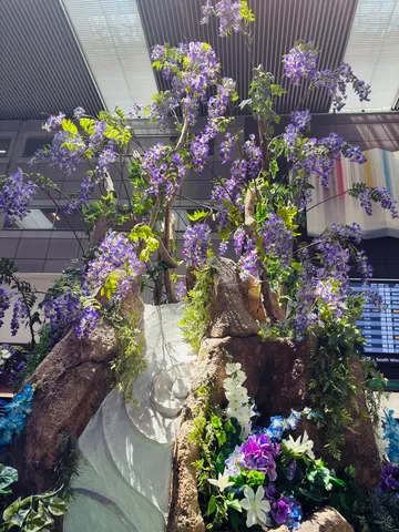 滝のような藤の花