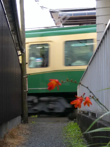 一瞬の風と花