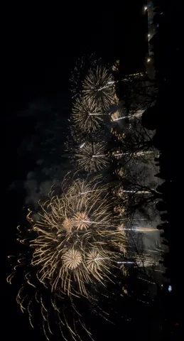 夜空に花火が踊る夜