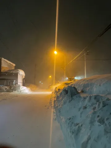 吹雪の夜道、街灯の光に導かれて