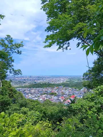 緑に包まれた街並みの眺望