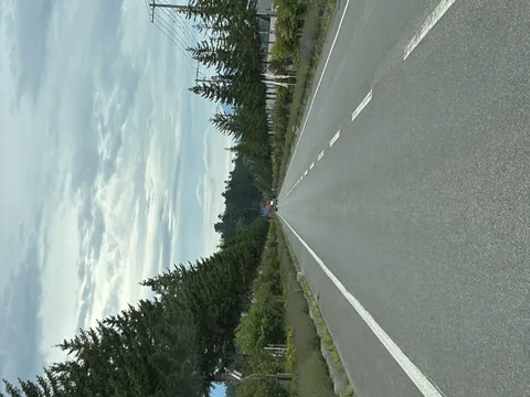 どこまでも続く一本道