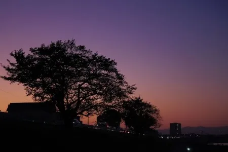 静寂のグラデーション