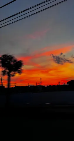 電線と夕焼けのコントラスト