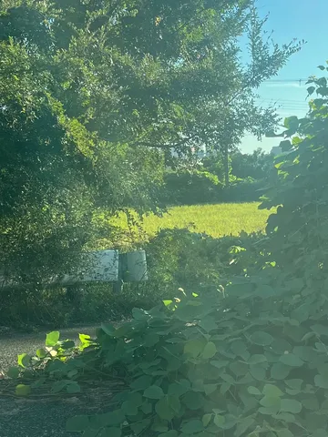 秘密基地