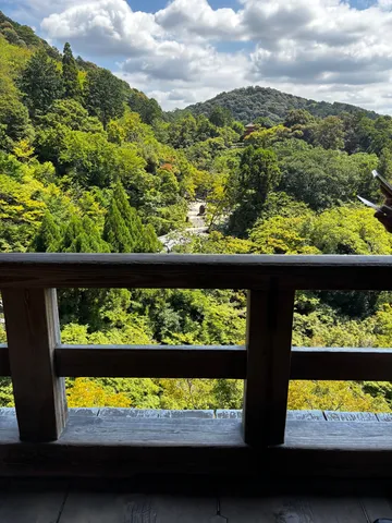 木漏れ日と新緑の山々