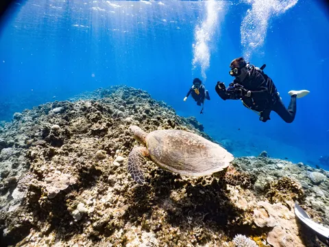 悠久の海、息づく生命