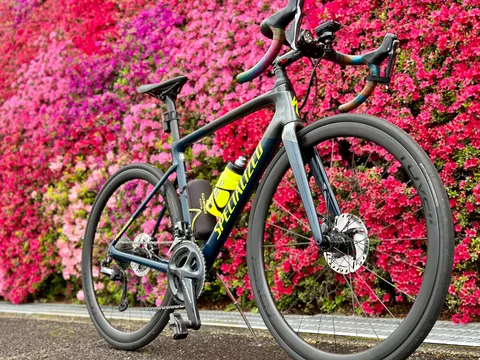 鮮烈な花の壁とロードバイク