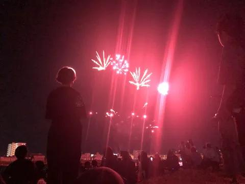 夜空を彩る光の芸術