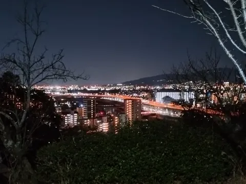 灯る街と静かな夜景