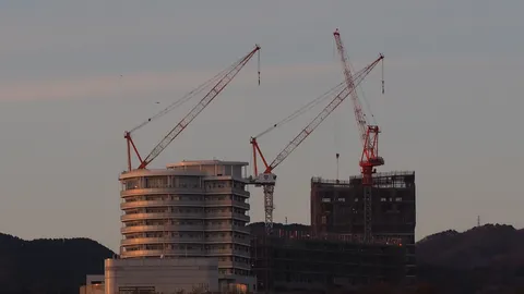夕景に揺れるクレーンの影