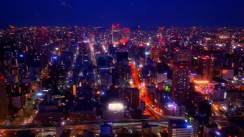 煌めく大都会の夜