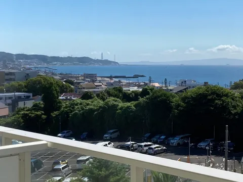 青い海と緑のコントラスト、潮風の誘い