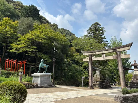 緑陰に映える神聖な馬