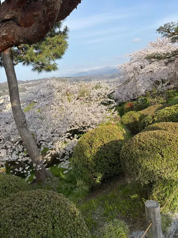 山々を彩る春の息吹