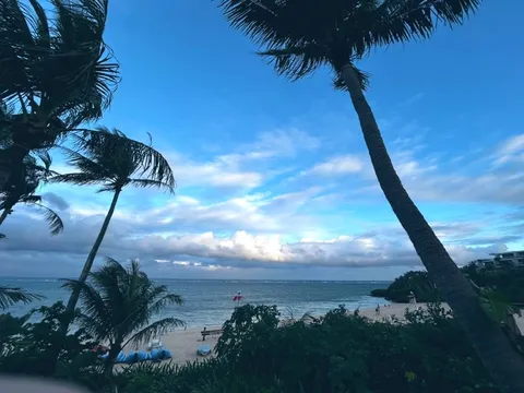ヤシの木も羨むビーチの休日