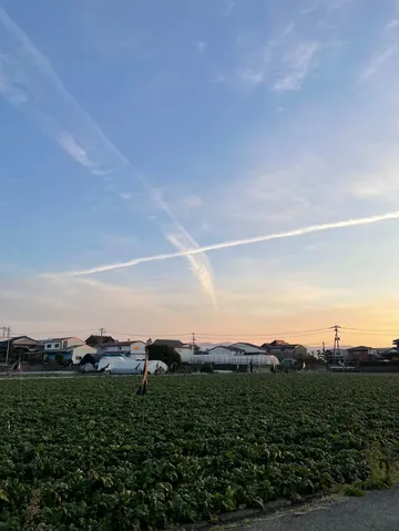 絵画のような空と畑のコントラスト