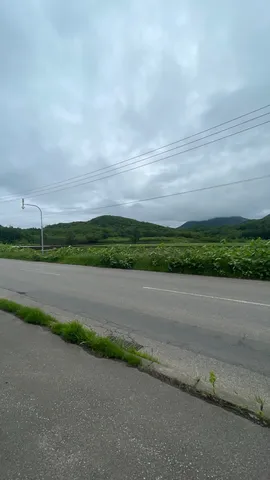 緑の丘と灰色の空の道