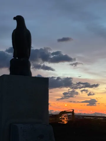 夕暮れの翼、希望の光