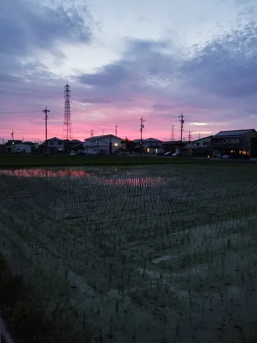 茜空に佇む田園風景