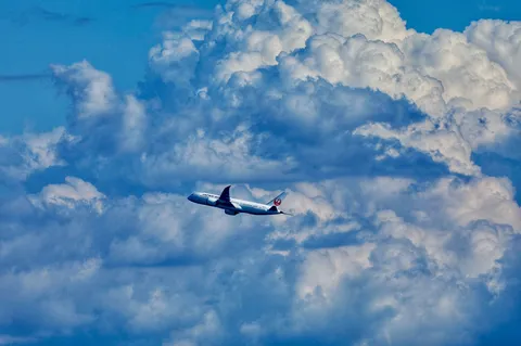 青空を駆ける小さな旅人