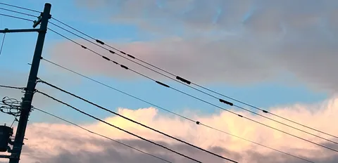 夕暮れ、電線のシルエット