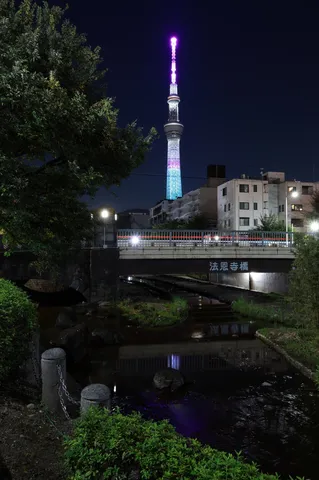 夜の光と水辺の静寂
