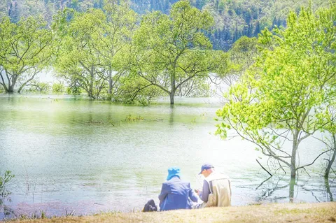 新緑の湖畔、静かな時