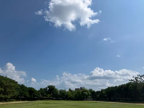 夏の晴れ間、広がる青空と緑のコントラスト